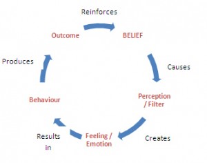 Belief Cycle